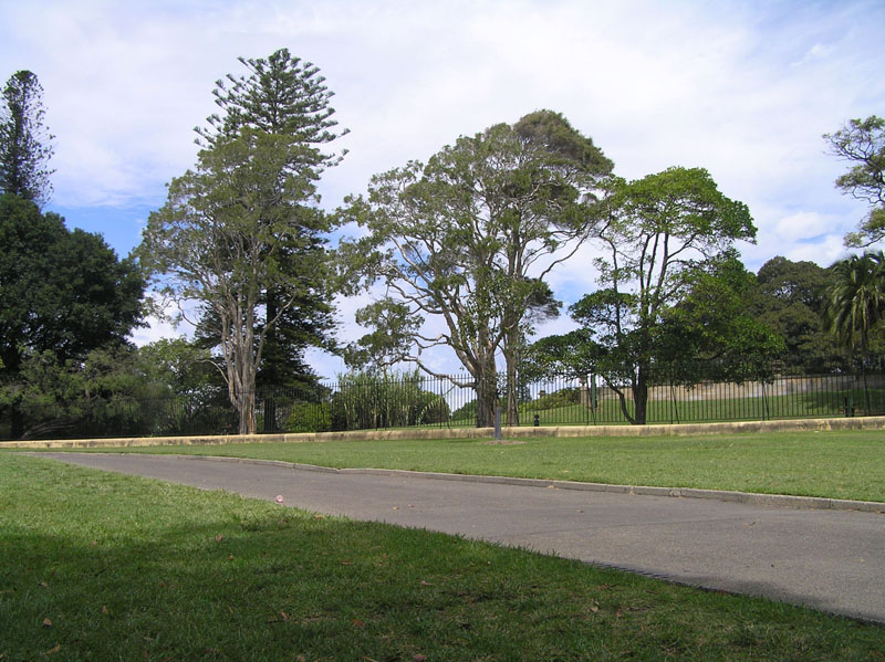 P3040051